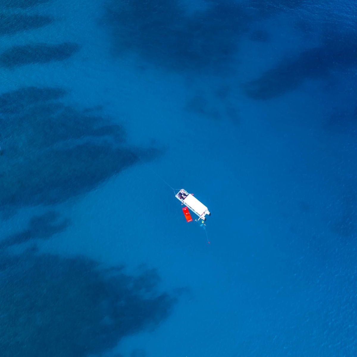 a group of people flying kites in the sky